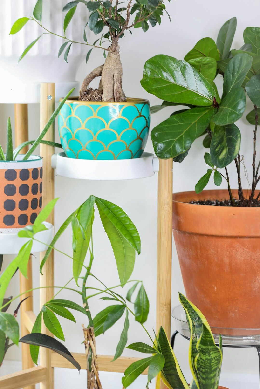 Bright modern open-plan office with ergonomic desks and green plants